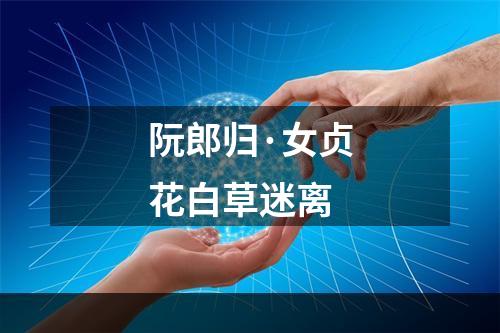 阮郎归·女贞花白草迷离