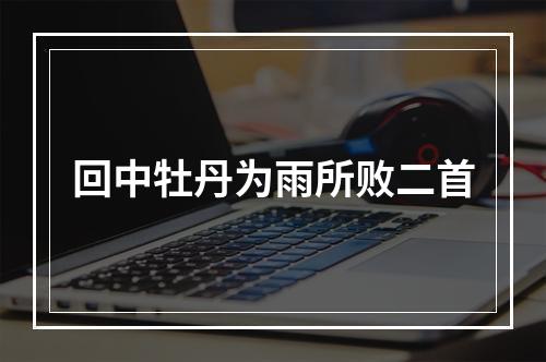 回中牡丹为雨所败二首