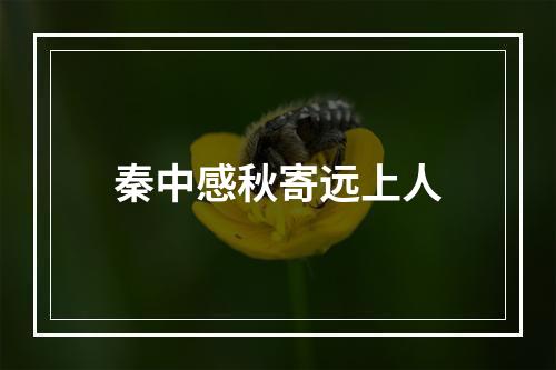 秦中感秋寄远上人