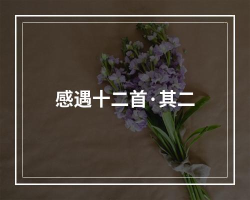 感遇十二首·其二