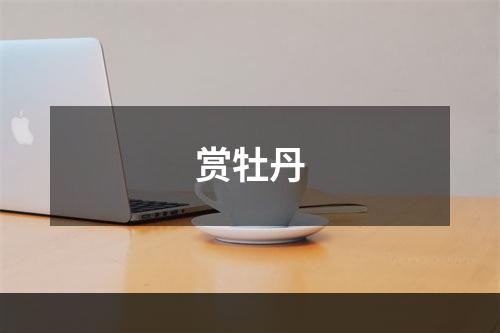赏牡丹