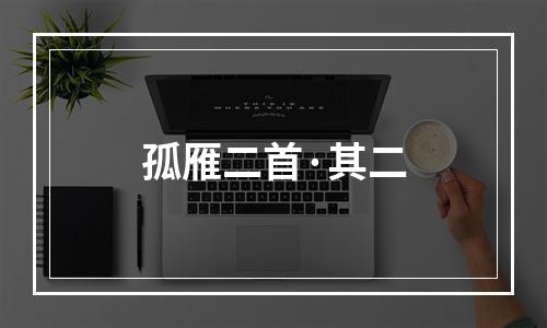 孤雁二首·其二