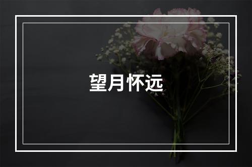 望月怀远