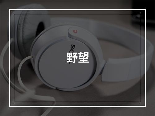 野望