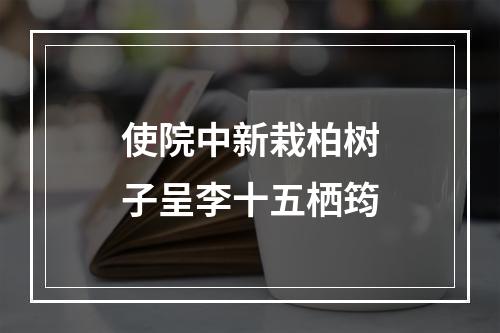 使院中新栽柏树子呈李十五栖筠