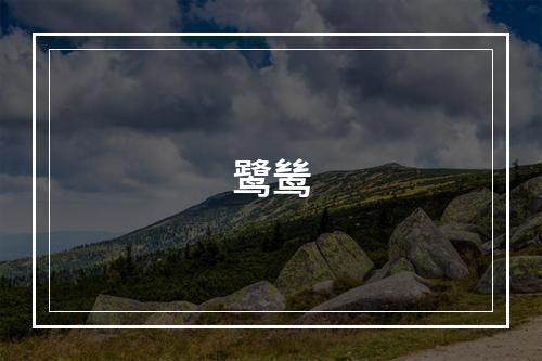 鹭鸶