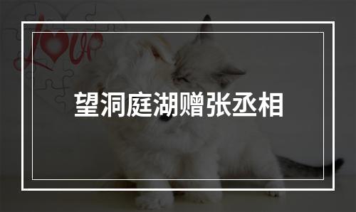 望洞庭湖赠张丞相