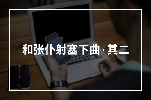 和张仆射塞下曲·其二