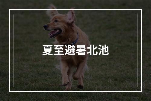 夏至避暑北池