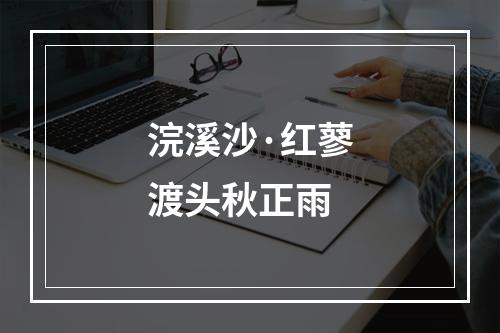 浣溪沙·红蓼渡头秋正雨