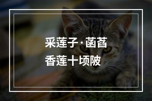 采莲子·菡萏香莲十顷陂