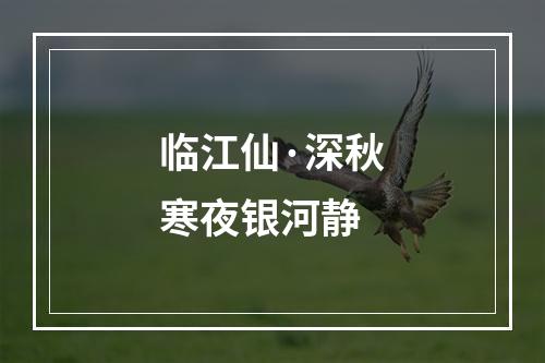 临江仙·深秋寒夜银河静
