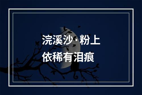 浣溪沙·粉上依稀有泪痕