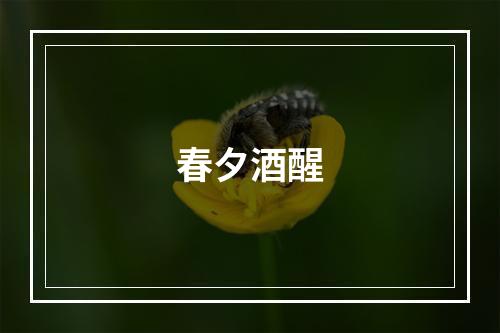 春夕酒醒