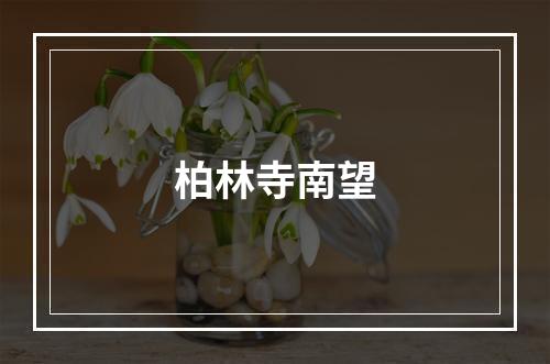 柏林寺南望