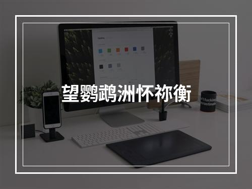 望鹦鹉洲怀祢衡