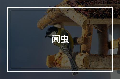 闻虫