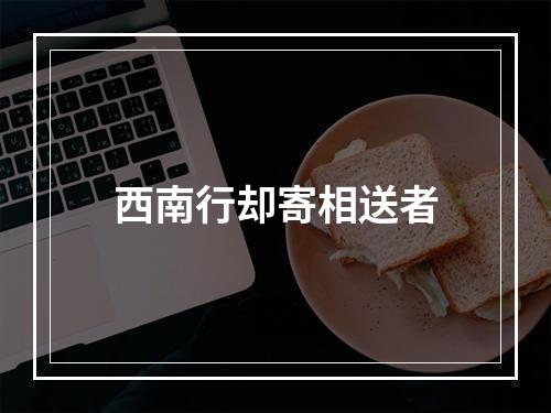 西南行却寄相送者