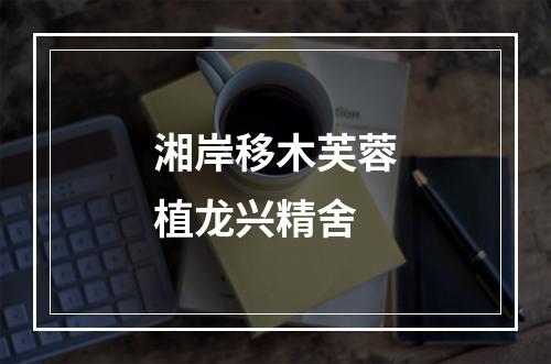 湘岸移木芙蓉植龙兴精舍