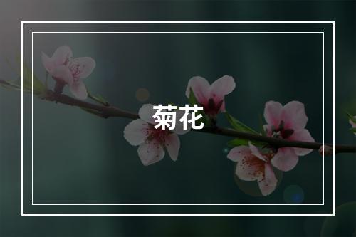 菊花