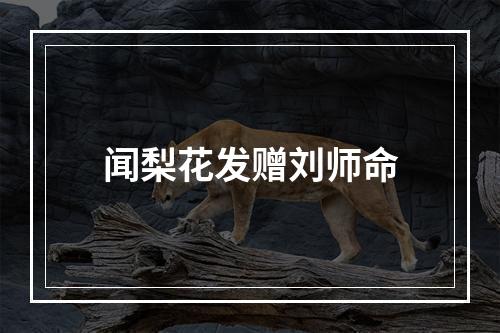 闻梨花发赠刘师命