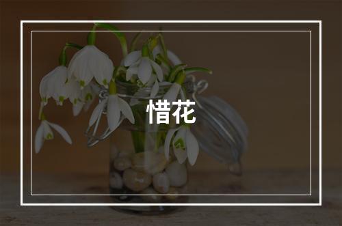 惜花
