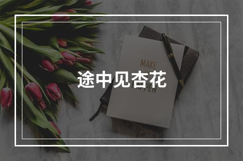 途中见杏花