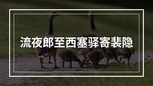 流夜郎至西塞驿寄裴隐