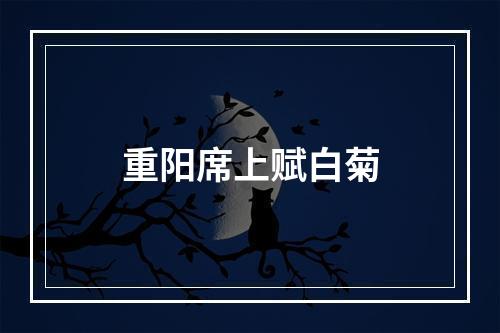重阳席上赋白菊