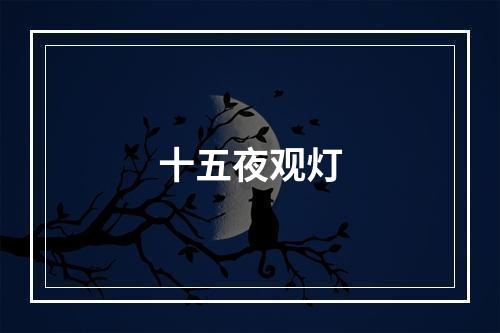 十五夜观灯