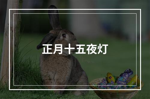 正月十五夜灯
