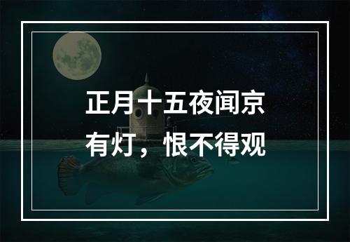 正月十五夜闻京有灯，恨不得观