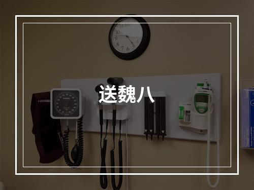 送魏八