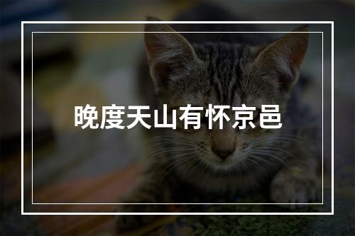 晚度天山有怀京邑