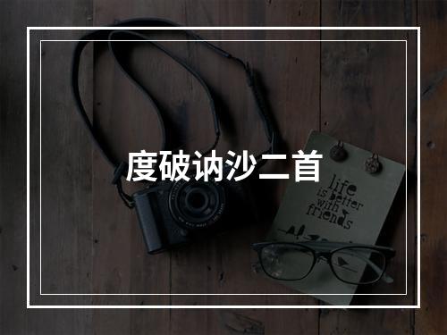 度破讷沙二首