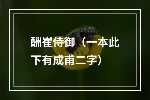 酬崔侍御（一本此下有成甫二字）