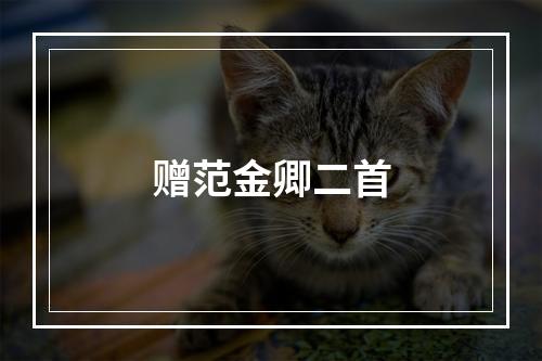 赠范金卿二首