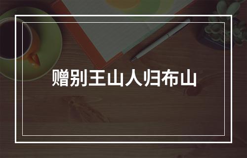 赠别王山人归布山