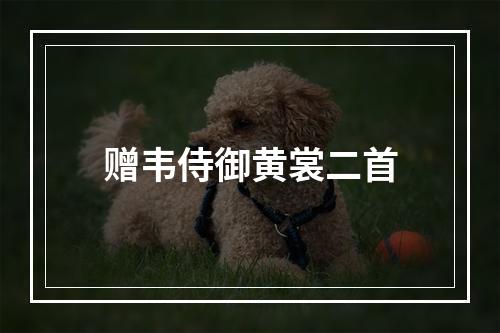 赠韦侍御黄裳二首