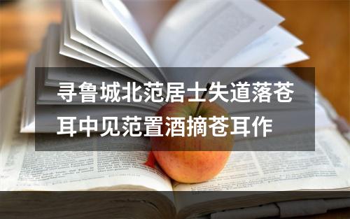 寻鲁城北范居士失道落苍耳中见范置酒摘苍耳作