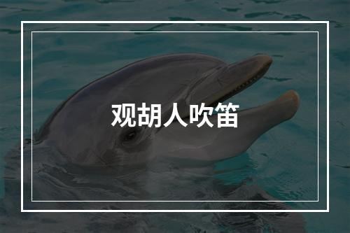 观胡人吹笛