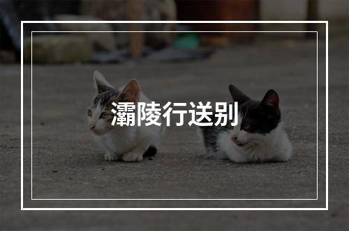 灞陵行送别