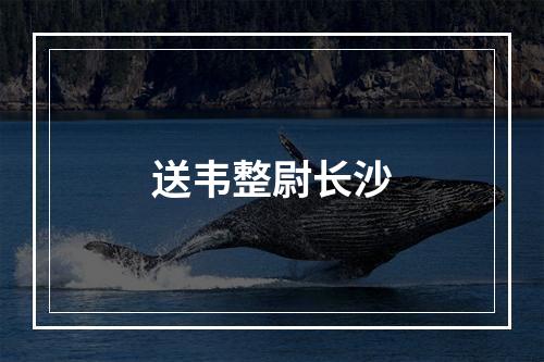 送韦整尉长沙