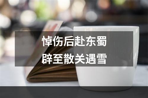 悼伤后赴东蜀辟至散关遇雪