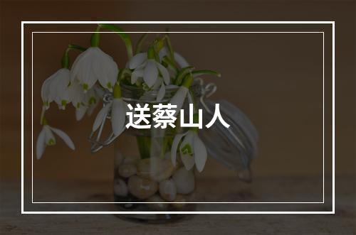 送蔡山人