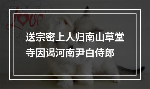 送宗密上人归南山草堂寺因谒河南尹白侍郎