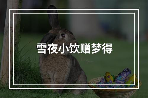 雪夜小饮赠梦得