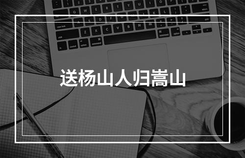 送杨山人归嵩山