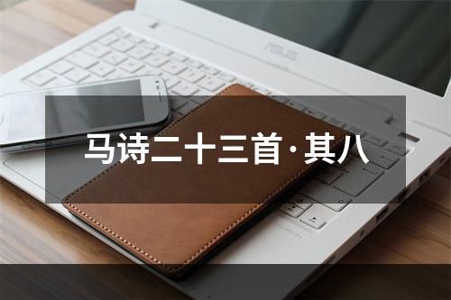 马诗二十三首·其八