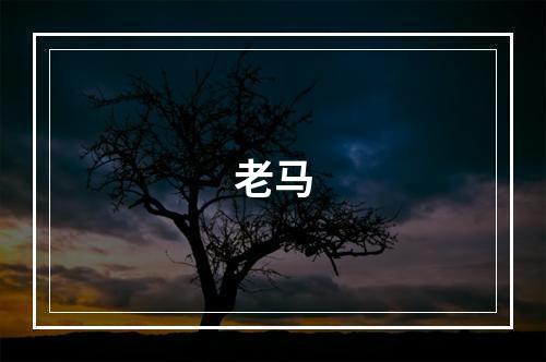 老马